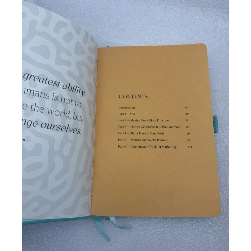 Surprisingly Successful Undated Weekly and Monthly Planner A5 NEW *read...